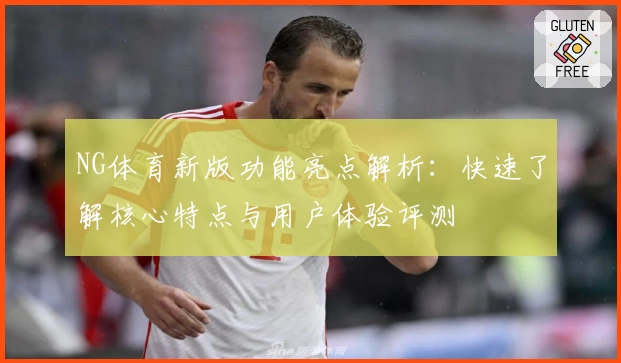 NG体育新版功能亮点解析：快速了解核心特点与用户体验评测